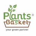 Plants Basket